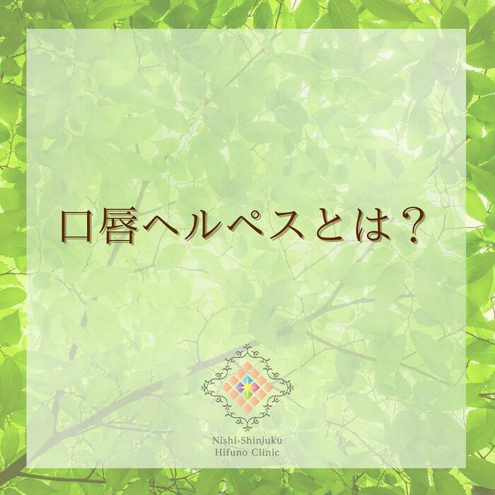 画像451