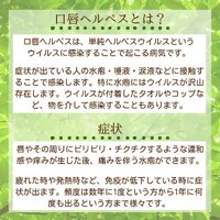 画像452