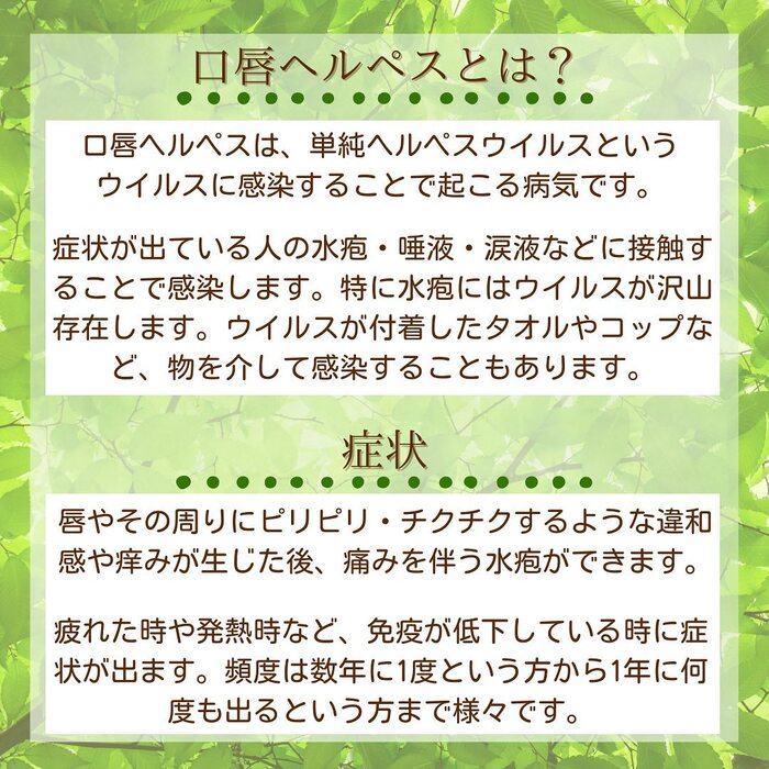 画像452