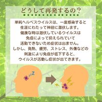 画像453