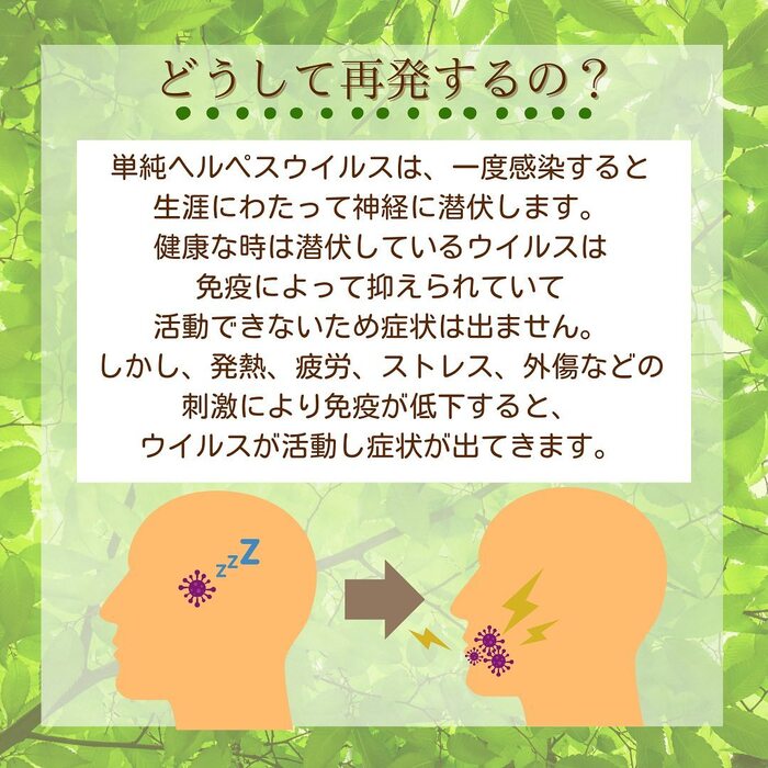 画像453