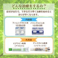 画像454