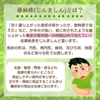 画像478