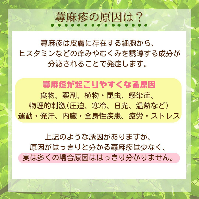 画像479