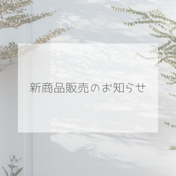 画像499