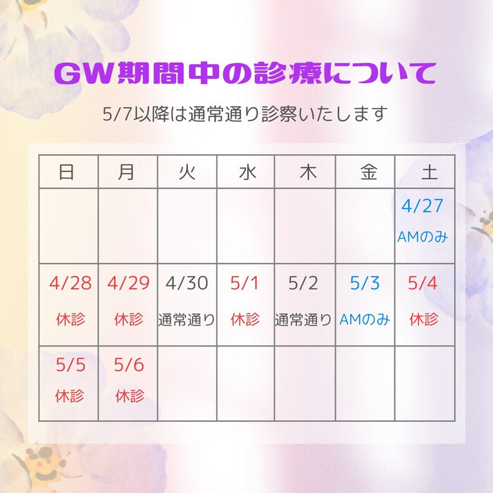 画像504