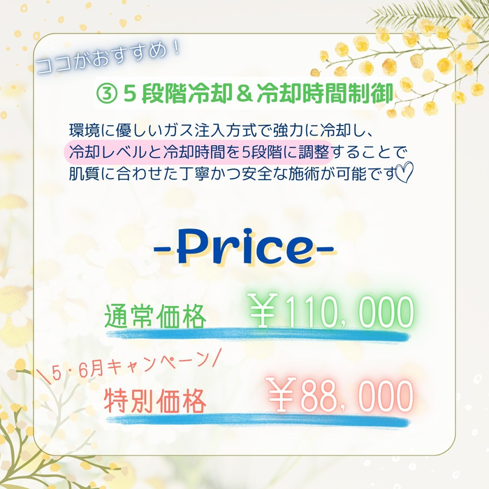 画像519