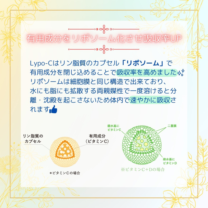 画像532